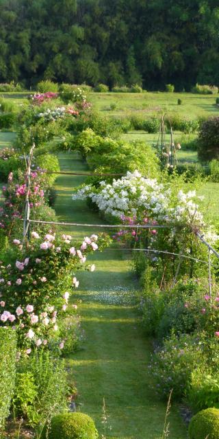 Jardin du bas de Val en Sel